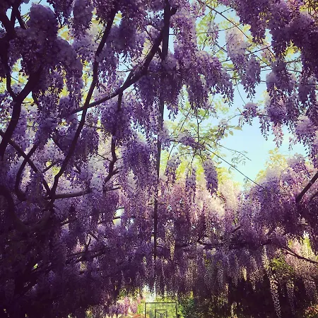 Couette-café Albori