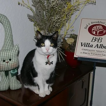 Bed and Breakfast Albori