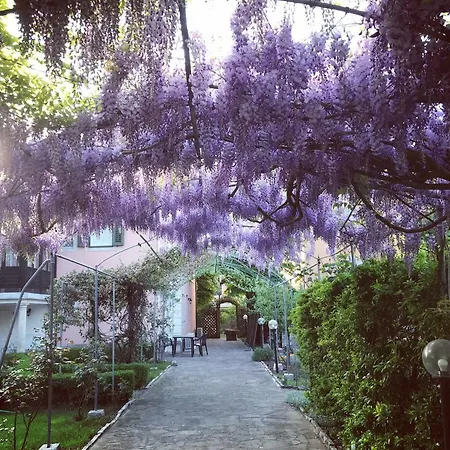 Albori Bed and Breakfast