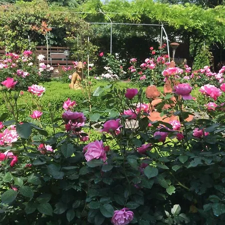 Albori Bed and Breakfast Villa Opicina